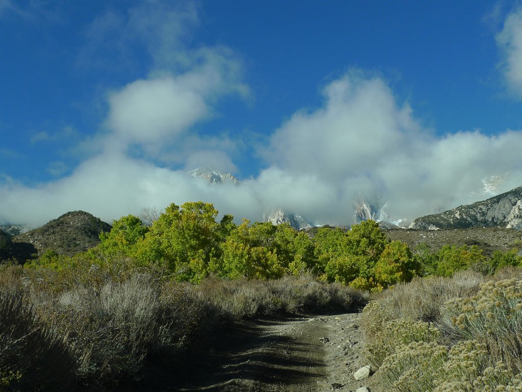 California-Fall2010 516.JPG